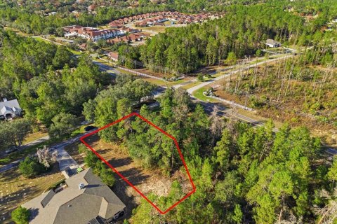 Land in Homosassa, Florida № 2379388 - photo 11