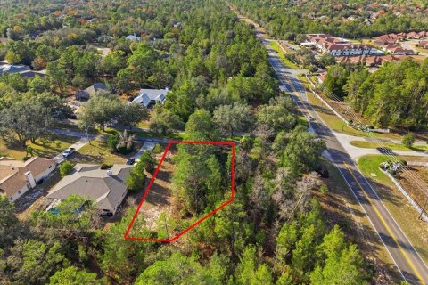Land in Homosassa, Florida № 2379388 - photo 10