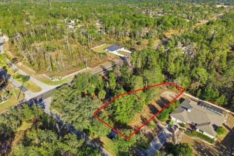 Land in Homosassa, Florida № 2379388 - photo 13