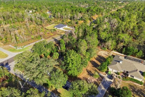 Land in Homosassa, Florida № 2379388 - photo 16