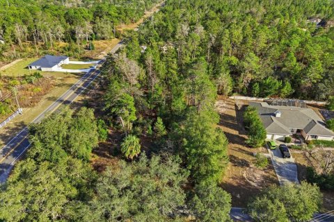 Land in Homosassa, Florida № 2379388 - photo 22