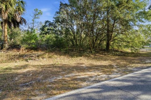 Land in Homosassa, Florida № 2379388 - photo 21