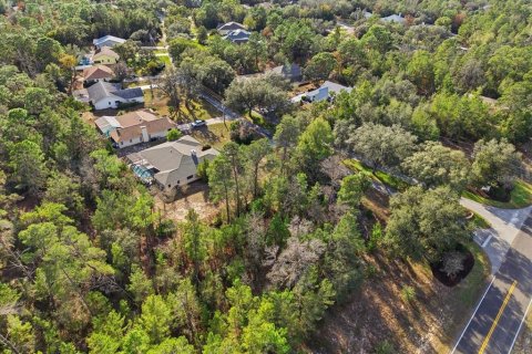 Land in Homosassa, Florida № 2379388 - photo 19