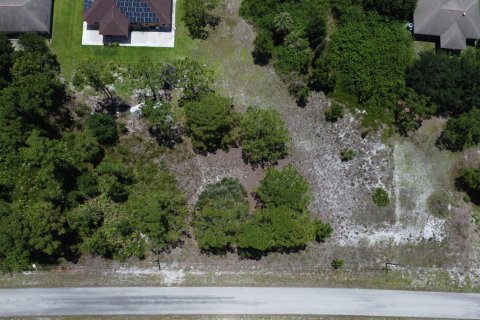 Commercial property in Lehigh Acres, Florida № 2184058 - photo 18