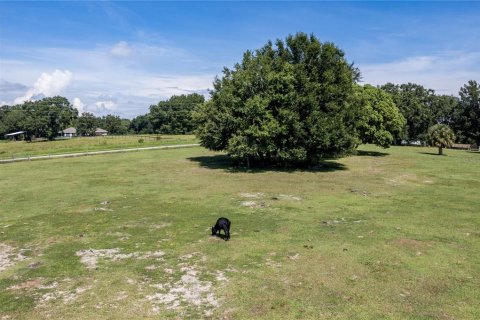 Land in Fruitland Park, Florida № 220858 - photo 15