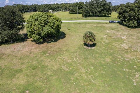 Land in Fruitland Park, Florida № 220858 - photo 19