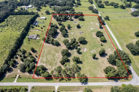Land in Fruitland Park, Florida № 220858 - photo 8