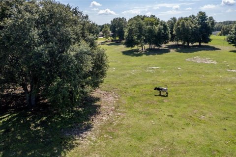 Land in Fruitland Park, Florida № 220858 - photo 20