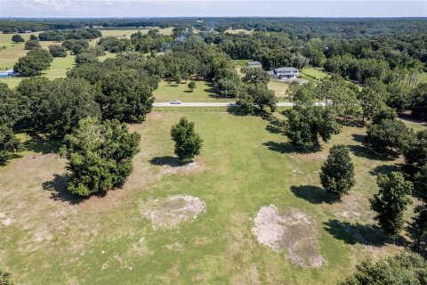 Land in Fruitland Park, Florida № 220858 - photo 17