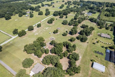 Land in Fruitland Park, Florida № 220858 - photo 10
