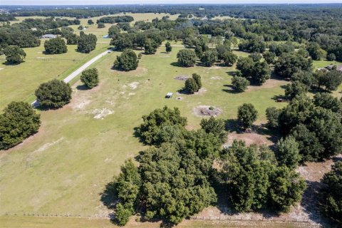 Land in Fruitland Park, Florida № 220858 - photo 13
