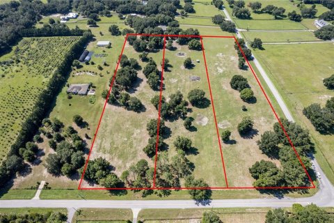 Land in Fruitland Park, Florida № 220858 - photo 9