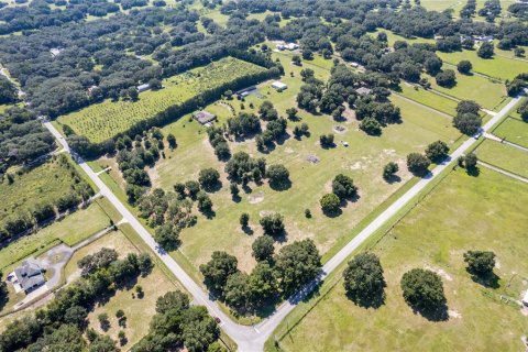 Land in Fruitland Park, Florida № 220858 - photo 6