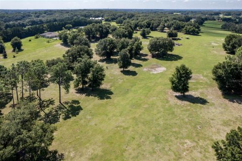 Land in Fruitland Park, Florida № 220858 - photo 18