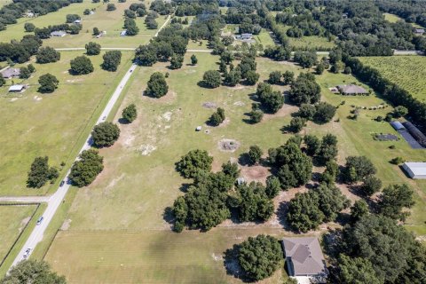 Land in Fruitland Park, Florida № 220858 - photo 12