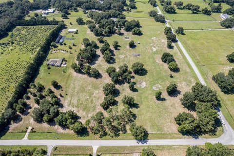 Land in Fruitland Park, Florida № 220858 - photo 7