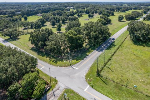 Land in Fruitland Park, Florida № 220858 - photo 4