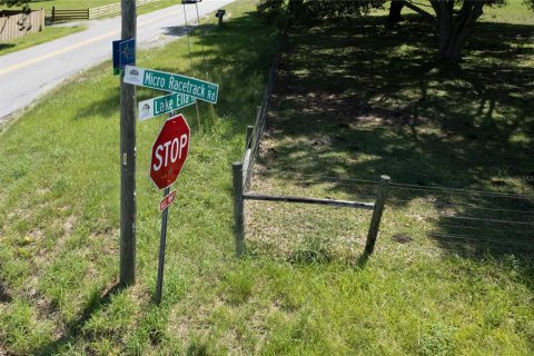 Land in Fruitland Park, Florida № 220858 - photo 5