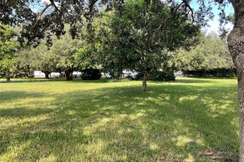 Land in Pembroke Pines, Florida № 1862269 - photo 3