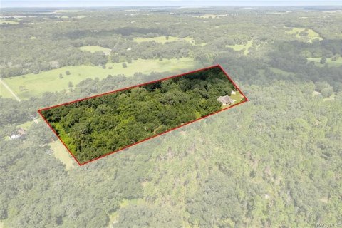 Villa ou maison à vendre à Sumter, Floride: 3 chambres, 200.58 m2 № 2353216 - photo 2