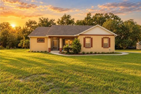 Villa ou maison à Sumter, Floride 3 chambres, 200.58 m2 № 2353216