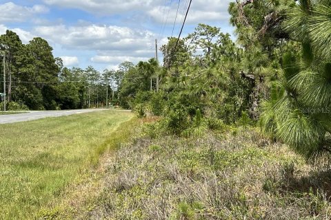 Land in Orlando, Florida № 866889 - photo 3