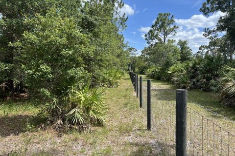 Land in Orlando, Florida № 866889 - photo 2