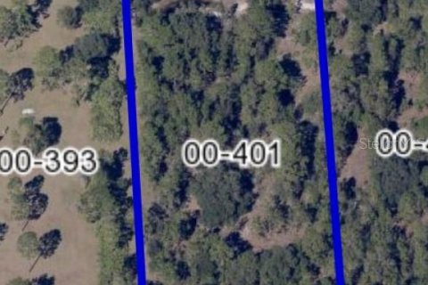 Купить земельный участок в Орландо, Флорида № 866889 - фото 1