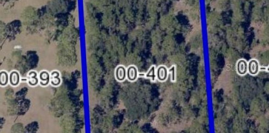 Land in Orlando, Florida № 866889