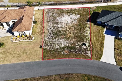 Land in Leesburg, Florida № 1513089 - photo 1