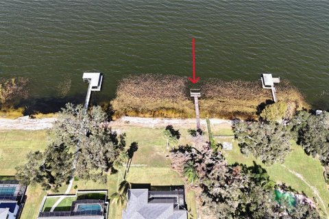 Land in Leesburg, Florida № 1513089 - photo 4