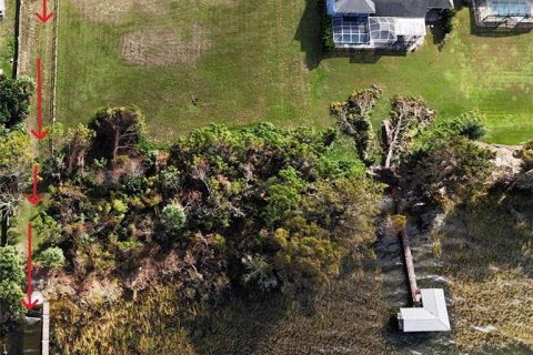 Land in Leesburg, Florida № 1513089 - photo 10