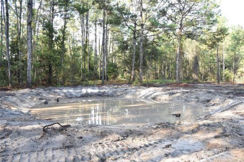 Terreno en venta en Palatka, Florida № 1905054 - foto 7