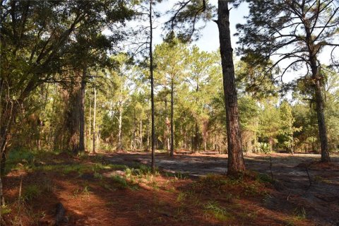 Terreno en venta en Palatka, Florida № 1905054 - foto 25