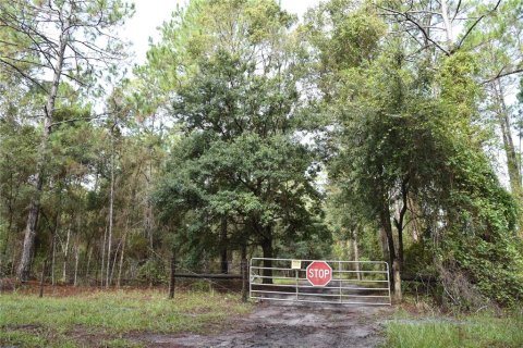 Terreno en venta en Palatka, Florida № 1905054 - foto 3