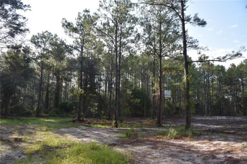 Terreno en venta en Palatka, Florida № 1905054 - foto 9