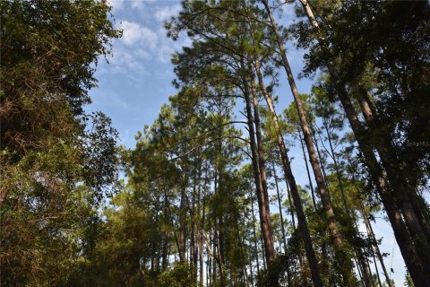 Terreno en venta en Palatka, Florida № 1905054 - foto 13