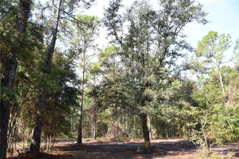 Terreno en venta en Palatka, Florida № 1905054 - foto 19