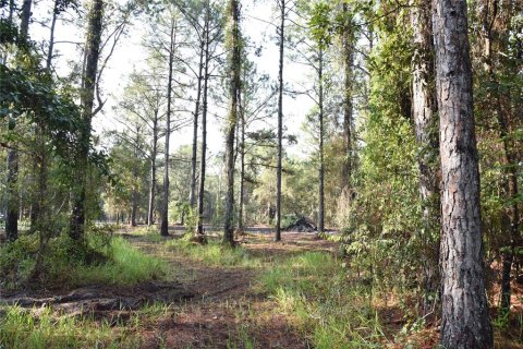 Terreno en venta en Palatka, Florida № 1905054 - foto 21