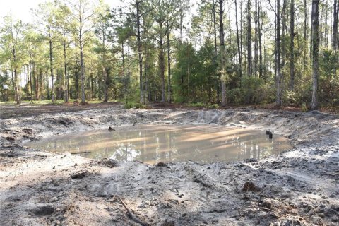 Terreno en venta en Palatka, Florida № 1905054 - foto 6