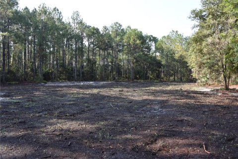 Terreno en venta en Palatka, Florida № 1905054 - foto 4