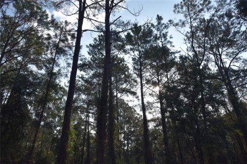 Terreno en venta en Palatka, Florida № 1905054 - foto 27