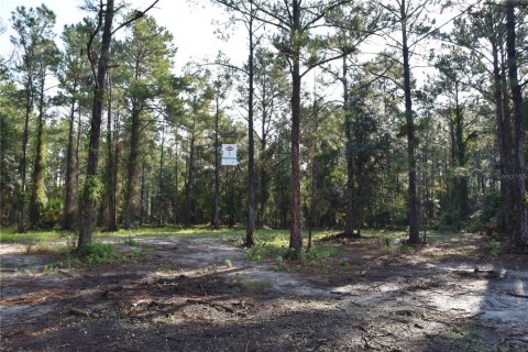 Terreno en venta en Palatka, Florida № 1905054 - foto 16