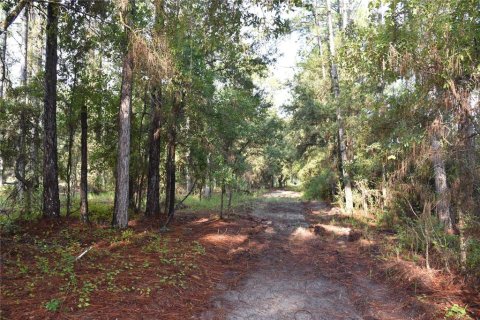 Terreno en venta en Palatka, Florida № 1905054 - foto 20