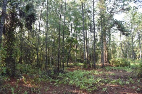 Terreno en venta en Palatka, Florida № 1905054 - foto 29