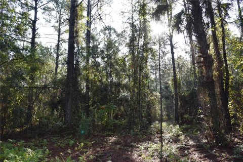 Terreno en venta en Palatka, Florida № 1905054 - foto 30
