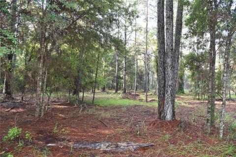 Terreno en venta en Palatka, Florida № 1905054 - foto 8