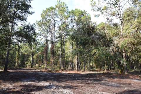 Terreno en venta en Palatka, Florida № 1905054 - foto 14