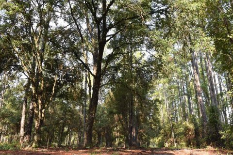Terreno en venta en Palatka, Florida № 1905054 - foto 1