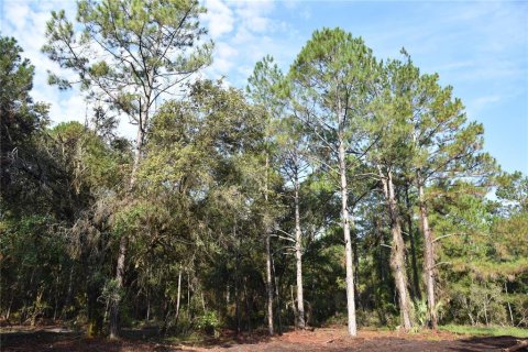 Terreno en venta en Palatka, Florida № 1905054 - foto 26